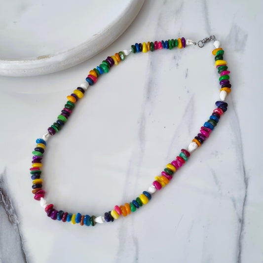 Colorful necklace with sea shell