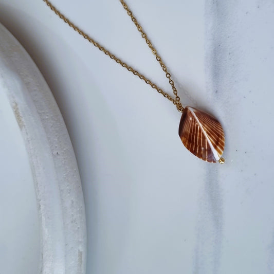 Brown shell on chain